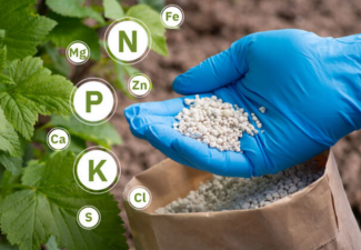 Fertilizers